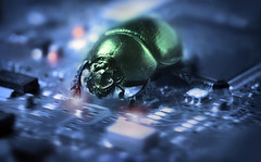 open-source bug bounty